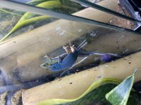 IMG_4683.jpg