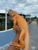 IMG_5683.jpg