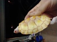 IMG_20210315_201334931.jpg