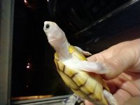 IMG_20210315_201321061.jpg