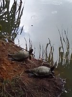 IMG_20210605_123951.jpg