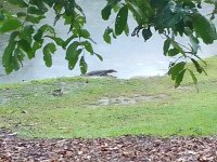 IMG_20210605_130707.jpg