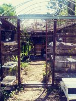 0429191204_Film1.jpg