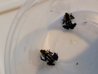 20210618_204252.jpg