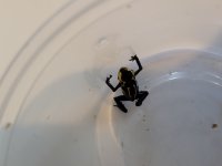 20210618_204231.jpg