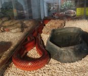 IMG_20210208_201351798 (2).jpg