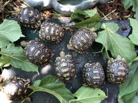 D36AF19D-692A-4030-B370-49778D27E0B1.jpg