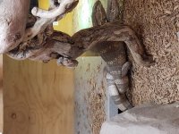 20201229_111541.jpg