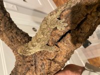 IMG_8256.jpg