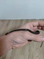 IMG_20210315_235821.jpg
