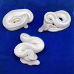 Ramens Babies Mystics.jpg