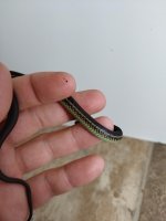 IMG_20210716_024405.jpg