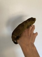 IMG_0085.jpg