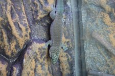 1891079_497794126995854_1590590171_n.jpg
