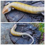 kei5.jpg
