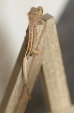 DSC_5866.jpg