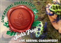 live arrival guaranteed Frogs amazon.jpg