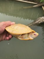 IMG_9491.jpg