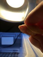 7912E71D-76D9-4051-9BD6-08D93C5715ED.jpg