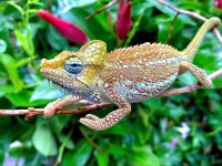 IMG_7849.jpg