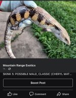 IMG_2732.jpeg