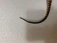 78D9D352-5840-4359-848C-A9689103F6C6.jpg