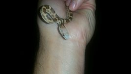 thumbnail_20211003_192826.jpg