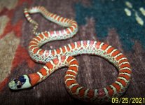 9-25 M#7.jpg