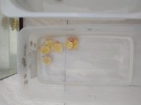IMG_20210707_183822674.jpg