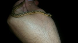 thumbnail_20211003_210759.jpg