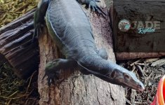 Watermark_20210904_143200_091.jpg
