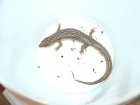 GEDC2844.JPG
