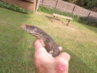 100_0037.jpg