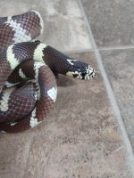 IMG_20210123_003209.jpg