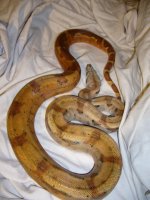 3-24-11 015.jpg