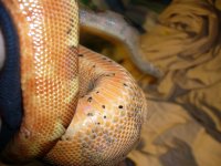 3-24-11 005.jpg