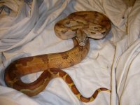 3-24-11 002.jpg