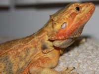 20110326_7.jpg