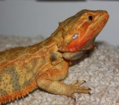 20110326_8.jpg