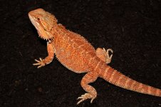IMG_8812.JPG