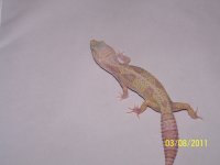 104_5091.jpg