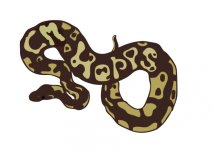 New Comp Logo.jpg