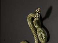2141F389-021D-46C9-A5A6-72A58C9E6C09.jpg