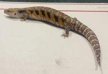 IMG_2684.jpg