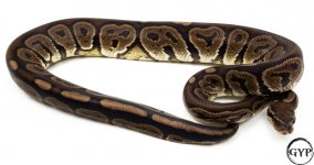 BlackPastelM3.jpg