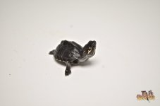 babystinkpot1.jpg
