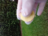 IMG_20210708_191940438.jpg