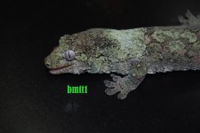 DSC_0296.jpg