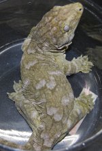 DSC_0341.jpg