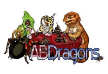 abdragons.jpg